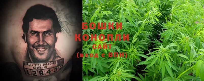 Шишки марихуана SATIVA & INDICA  Чадан 